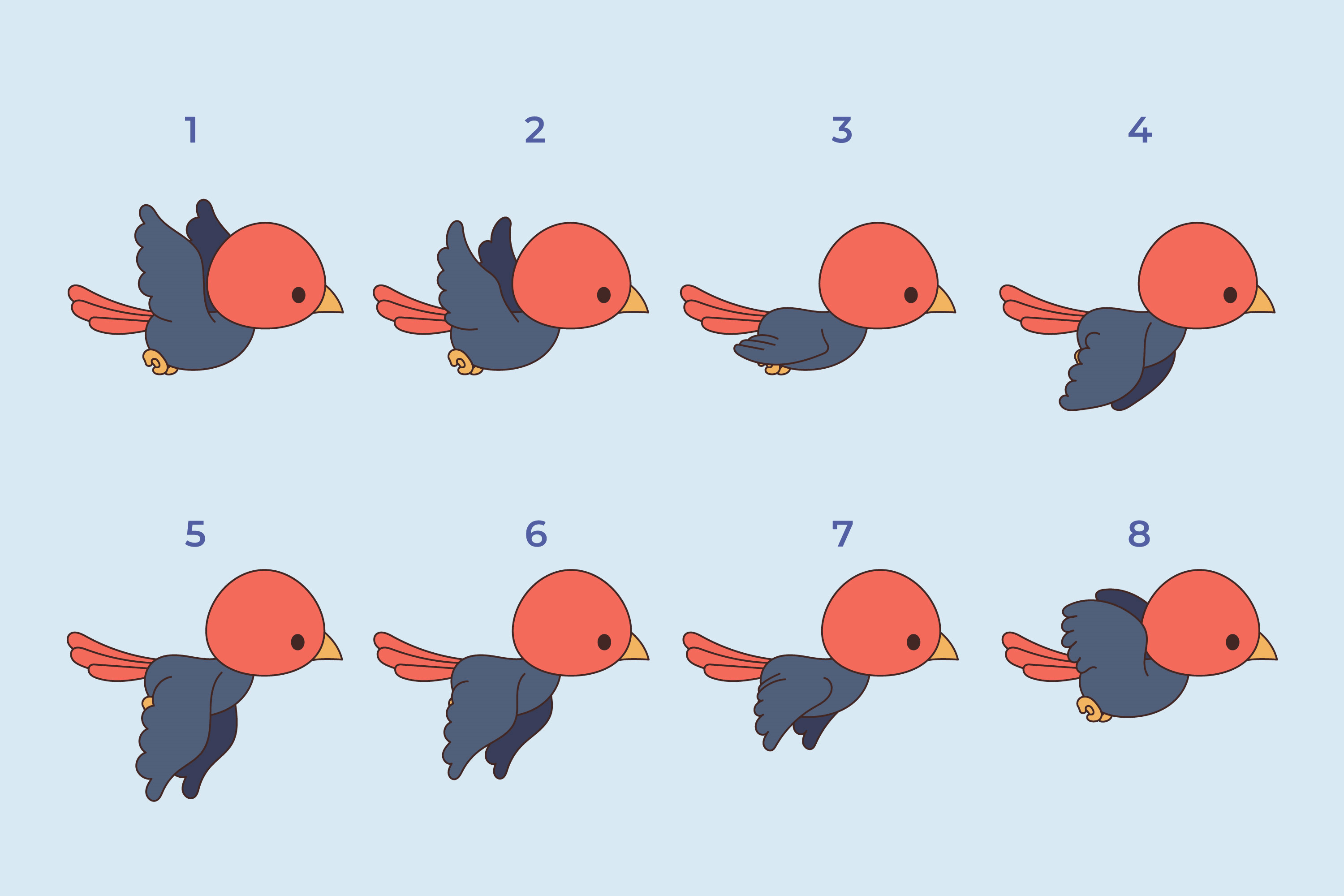 Motion Graphics